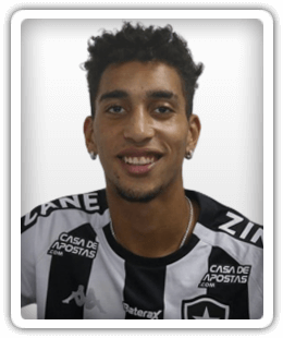 Botafogo Brazil Football Manager Fm Fm